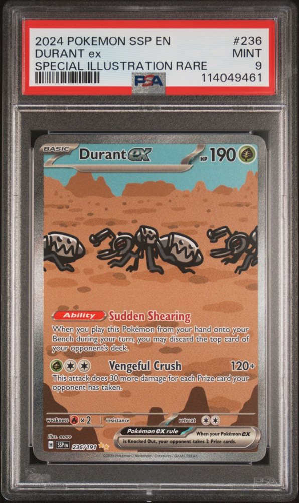 bayview_cards