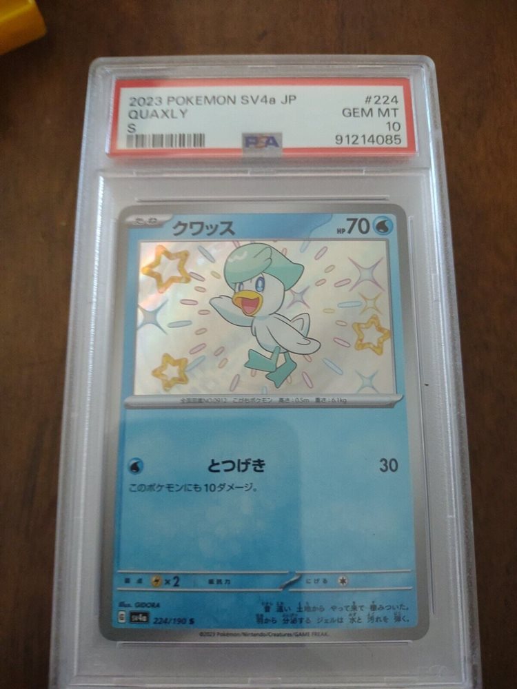 tcgchampion