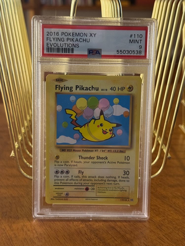 pokemon_twins