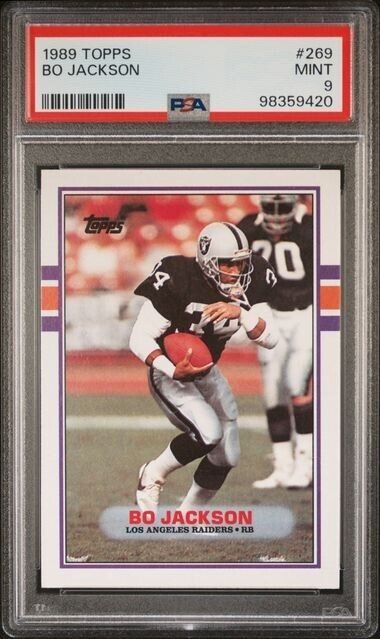 cotton_and_pine_collectibles