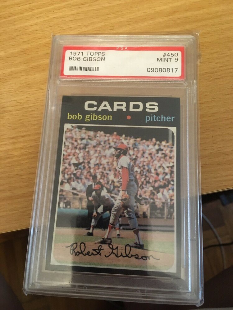 shifty_and_sketchy_cat