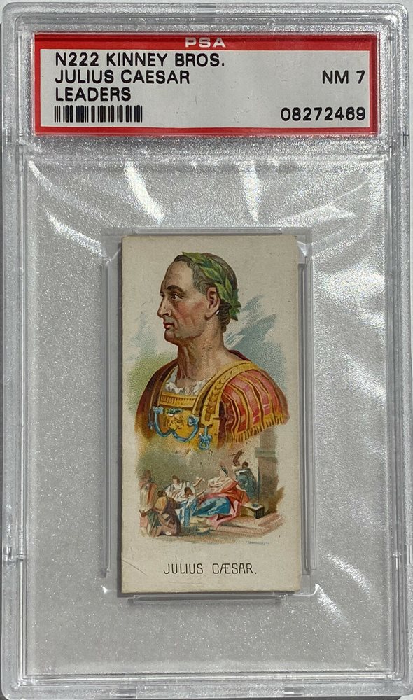 cotton_and_pine_collectibles