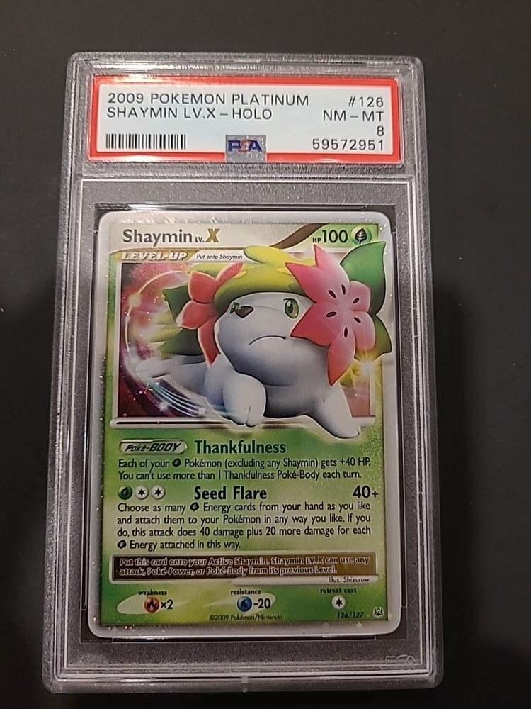delightfultyranitar