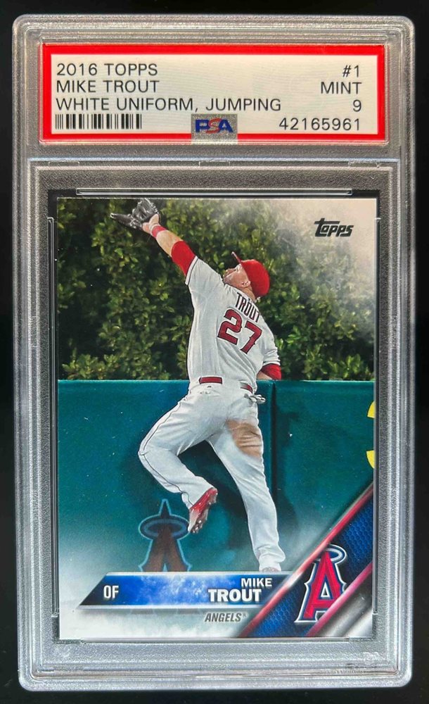 dcsports87
