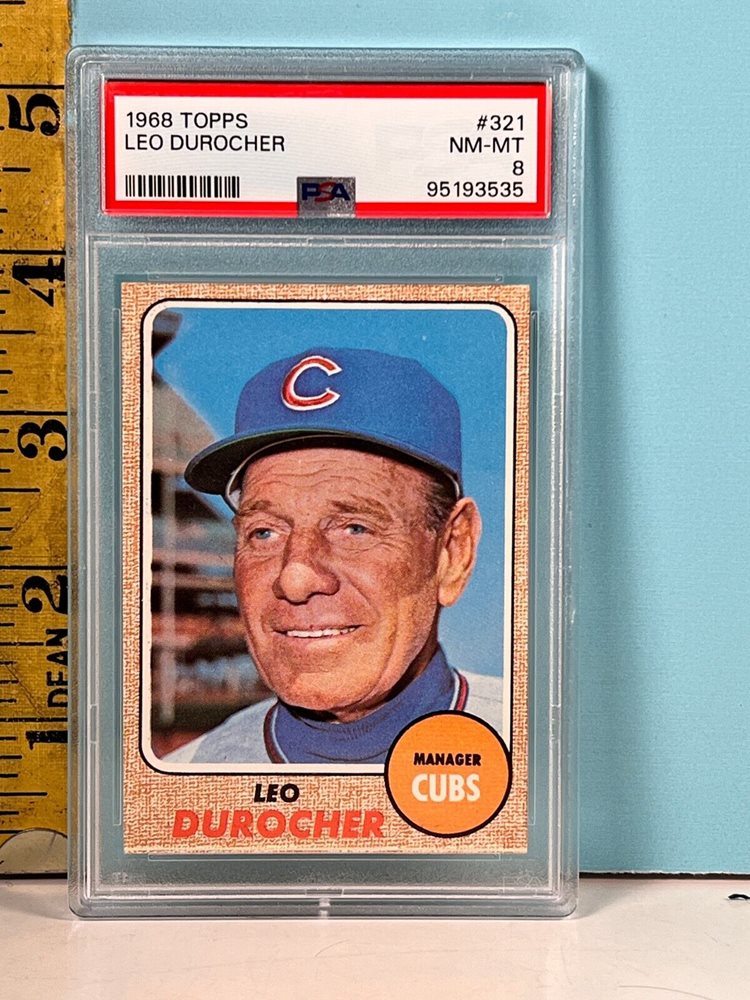 chubbycatcollectibles