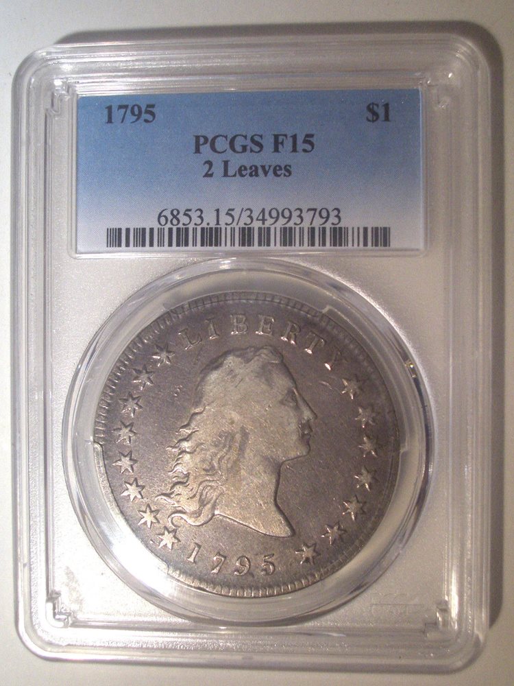 1795 2 Two Leaves Pcgs F15 Silver Flowing Hair Dollar 1