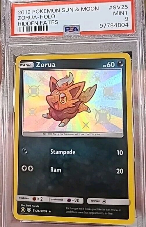 eBay Auction Item 146282257992 Tcg Cards 2019 Pokemon Sun & Moon Hidden  Fates