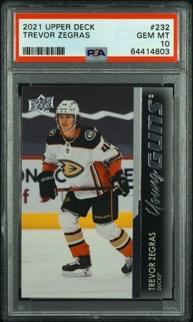 neweraportscards