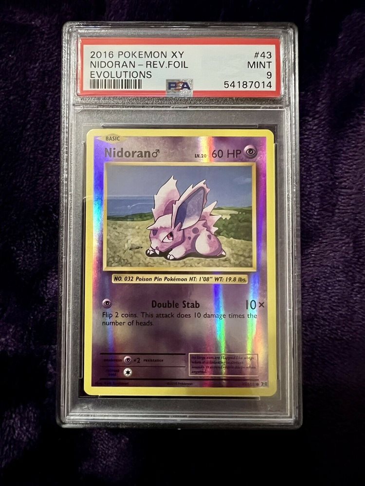 Auction Prices Realized Tcg Cards 2016 POKEMON XY EVOLUTIONS Nidoran-Reverse Foil Auction Prices Realized Tcg Cards 2016 POKEMON XY EVOLUTIONS Nidoran-Reverse Foil