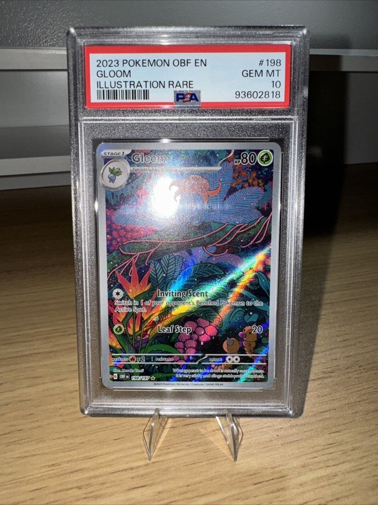 eBay Auction Item 305928033643 Tcg Cards 2023 Pokemon Obf En-Obsidian Flames