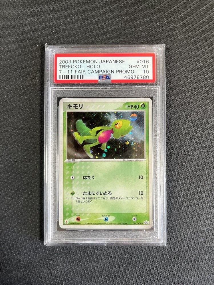 PSA8 キモリ　プロモ　英語版　2004 Treecko EX #016 キモリ 海外版 英語版 25th プロモ Treecko - 3/25 -【Card