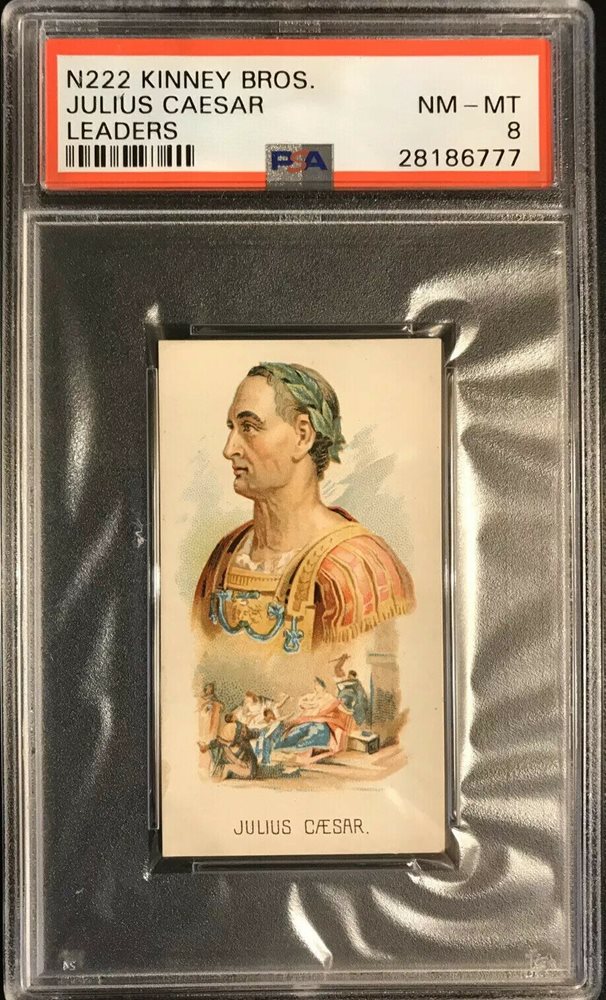 cotton_and_pine_collectibles