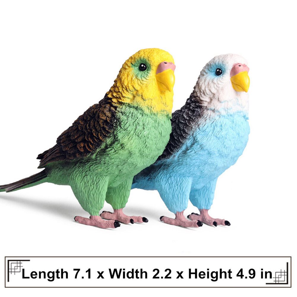 lovebird toy