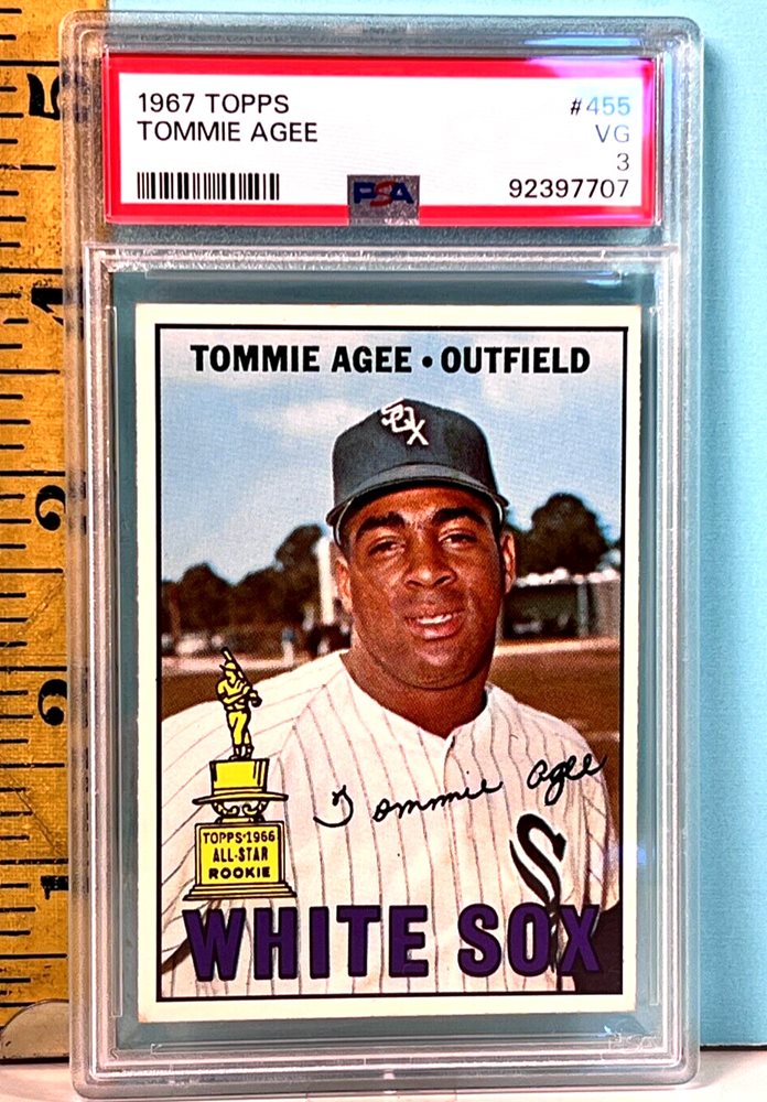 chubbycatcollectibles