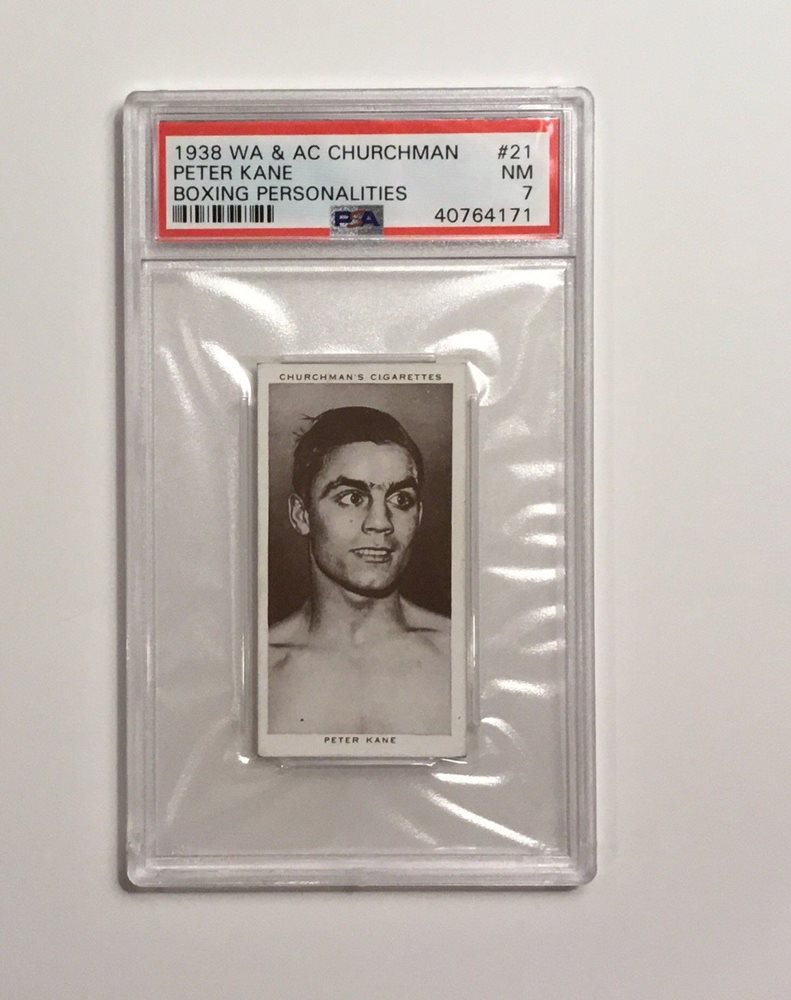 3dognightcollectibles