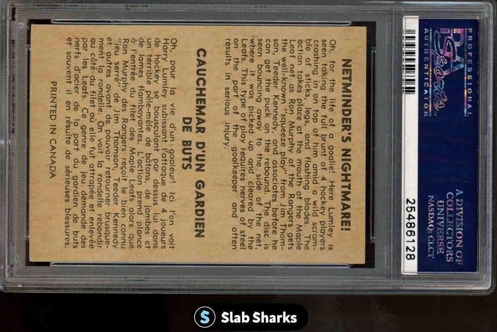 slabsharksinc