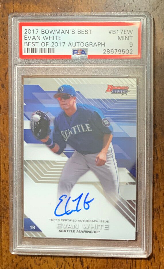 clarencelizardwithnotail