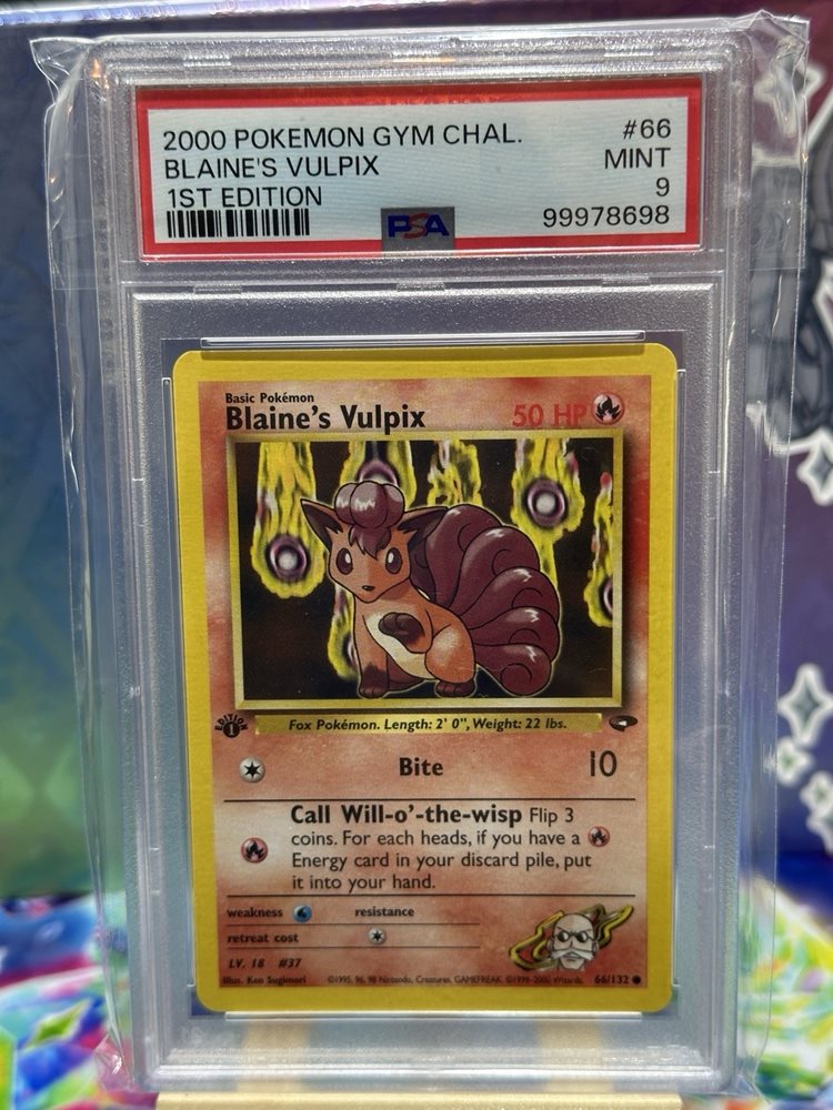 thepokepullstore