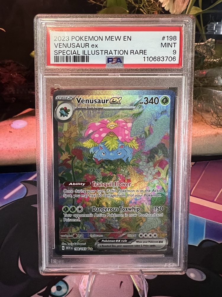 cardsandhorses