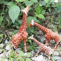Kids Gift Delicate PVC Wild Boar Wild Life Animal Figure Model Educational Toy