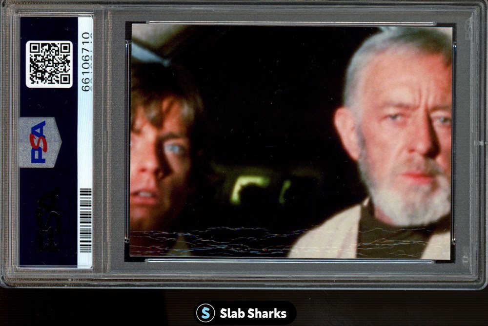 slabsharksinc
