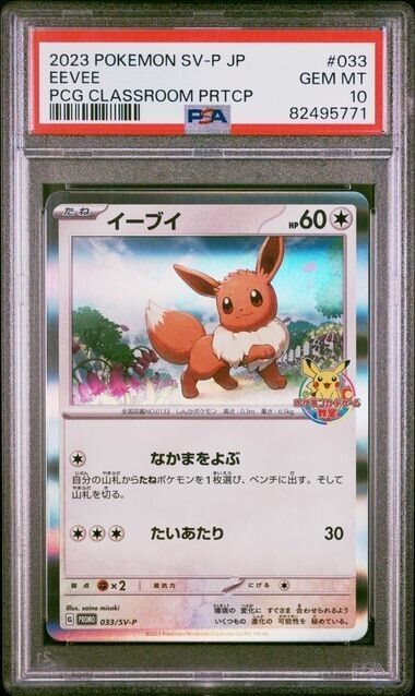 graded cards case Eevee Black Star Promo #173 (2025) – Ace Graded 9 Mint Pokémon Card –  Wright Cards main image 0