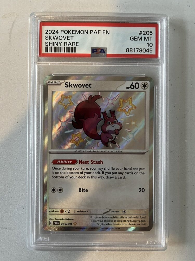 charizard1996