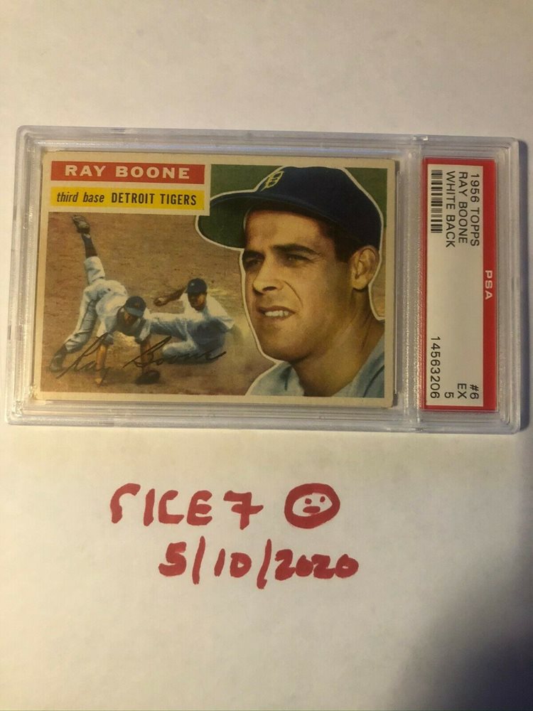 rice7