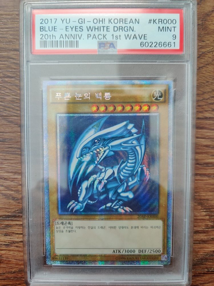 collectasaurus