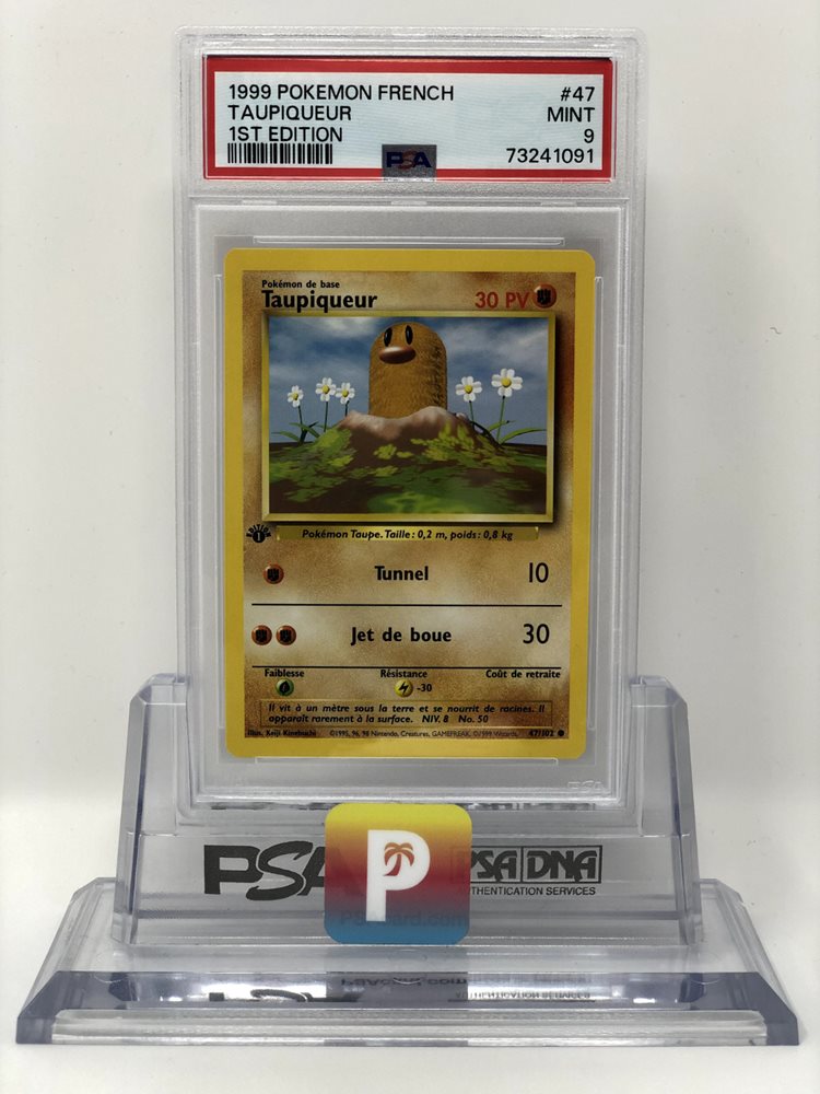 poke_paradise