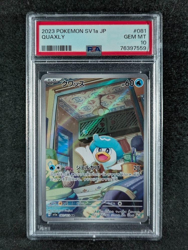 scc_consignments