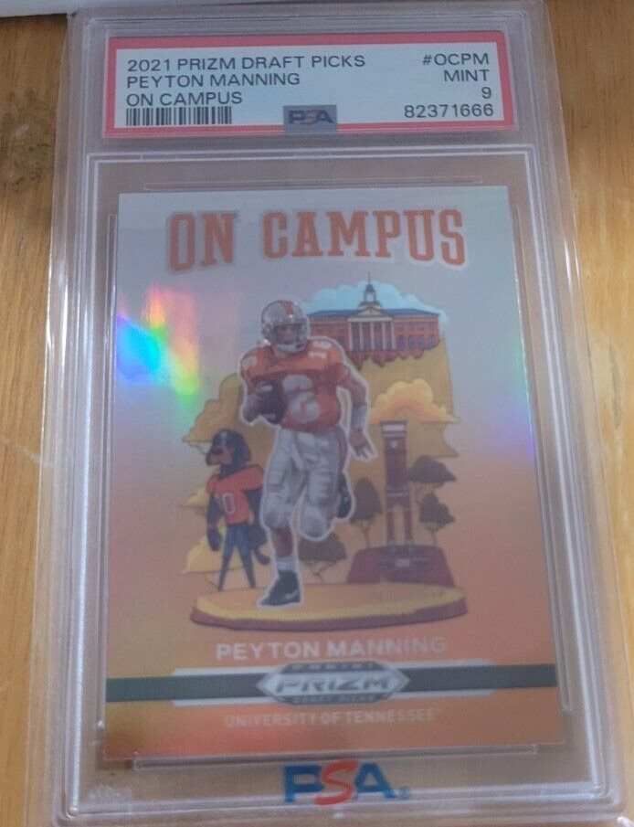 storminsportscards