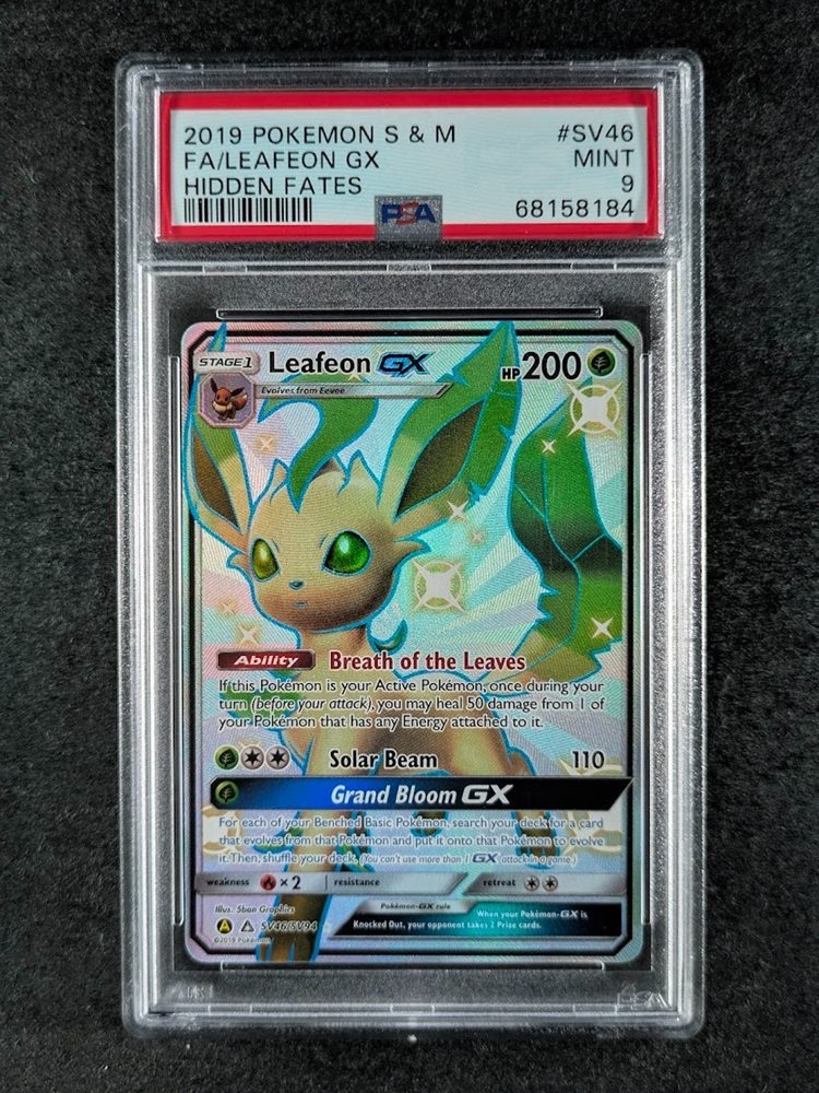 scc_consignments