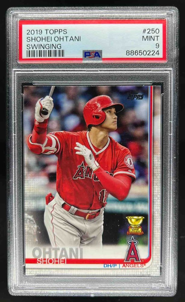 dcsports87