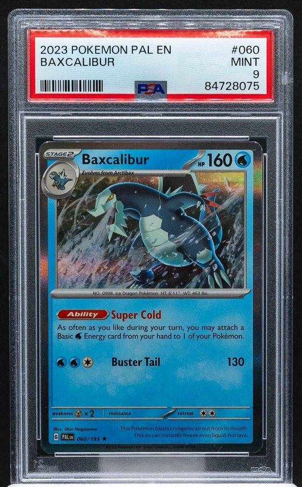 cards binder Sluggers 