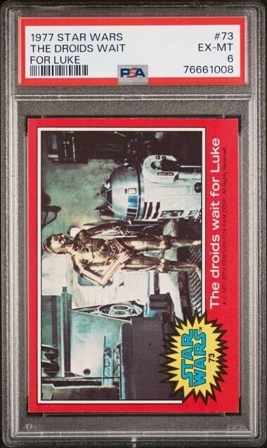 cotton_and_pine_collectibles