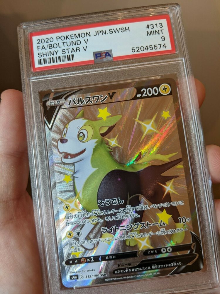 charizard_trendsetter