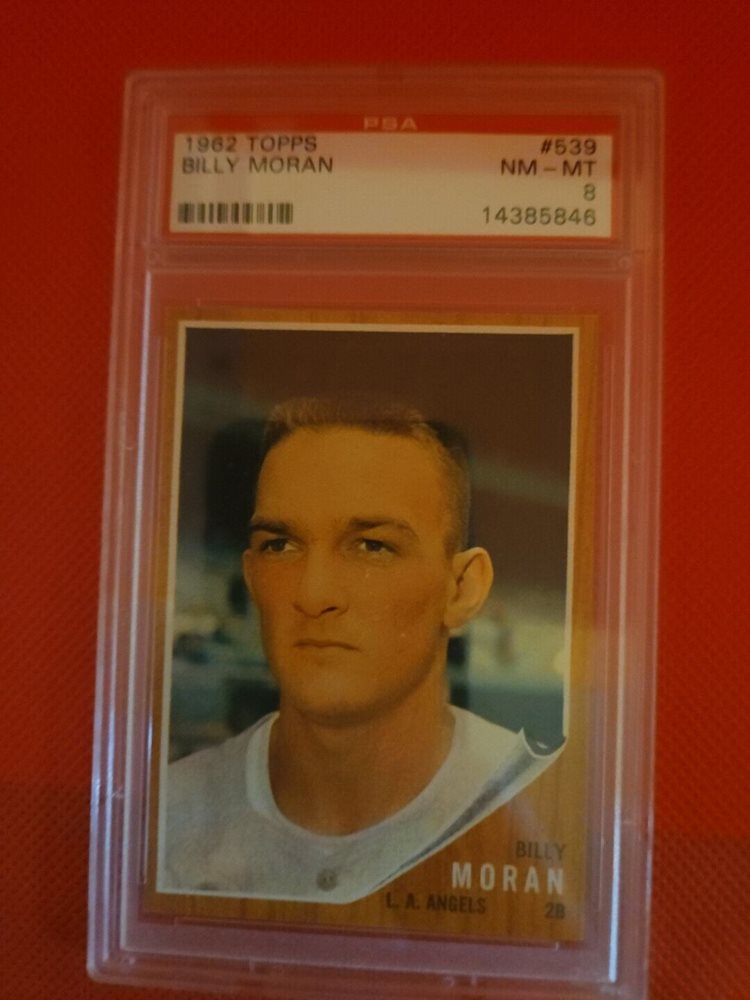 hojauctions