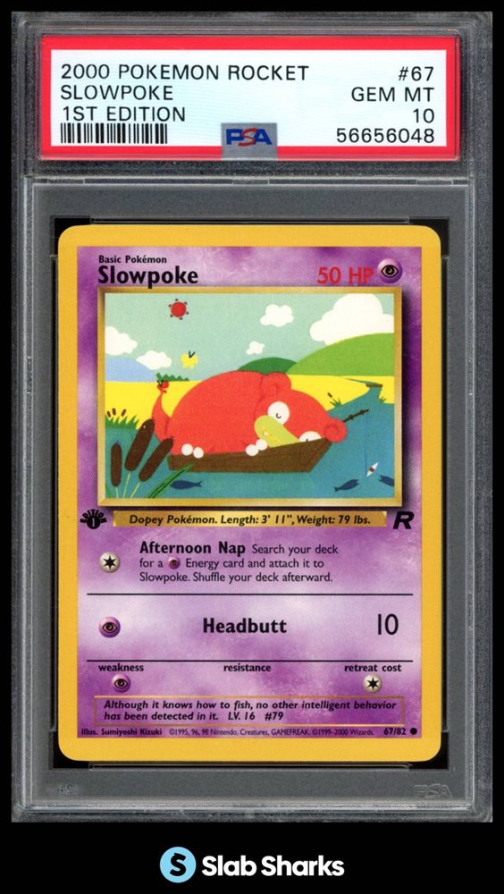 slabsharksinc