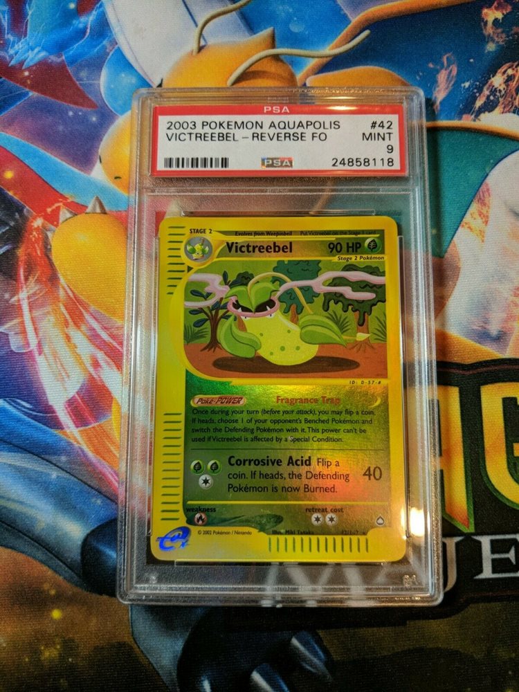 charizard_trendsetter