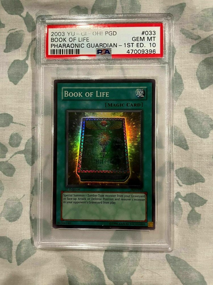 wildbeatcommunication