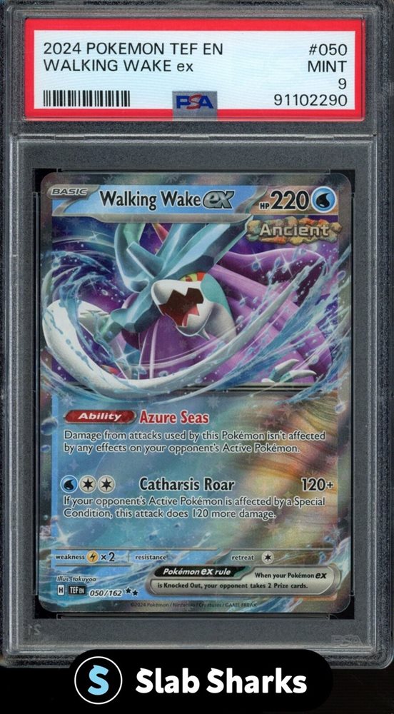 slabsharksinc