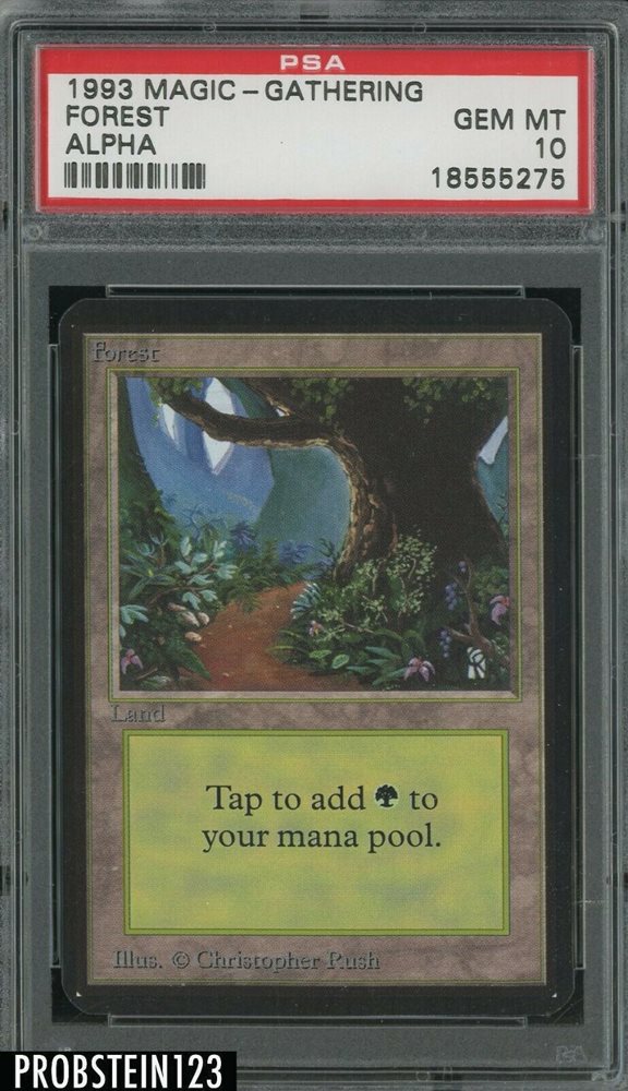 マジック：ザ・ギャザリング MTG  covered forest PSA10 MTG snow covered forest PSA10