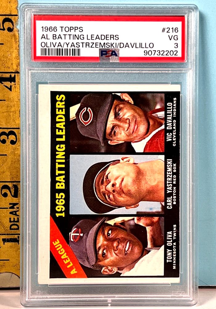chubbycatcollectibles
