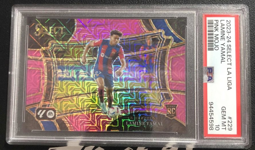 nc81cards