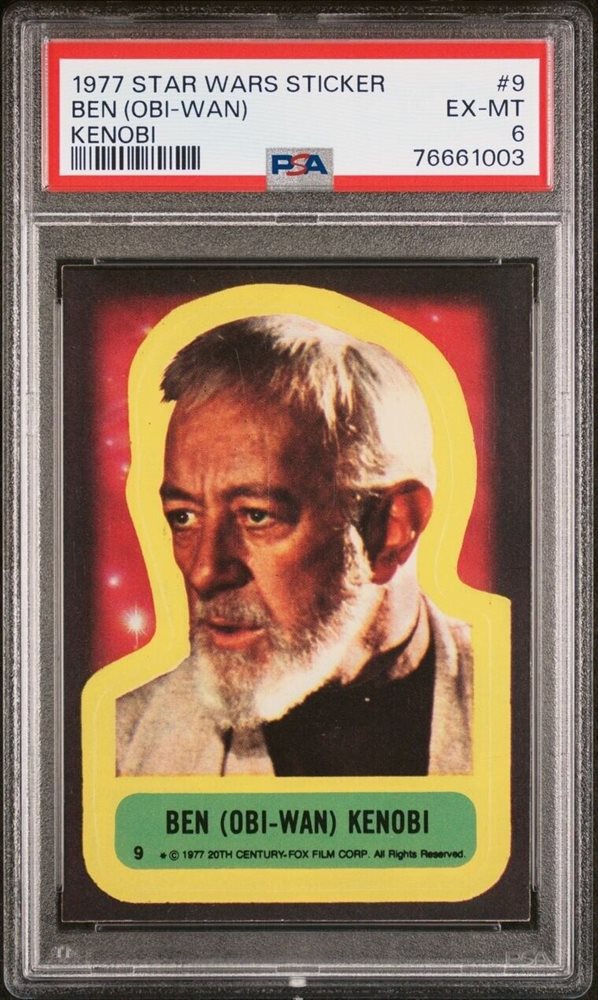 cotton_and_pine_collectibles