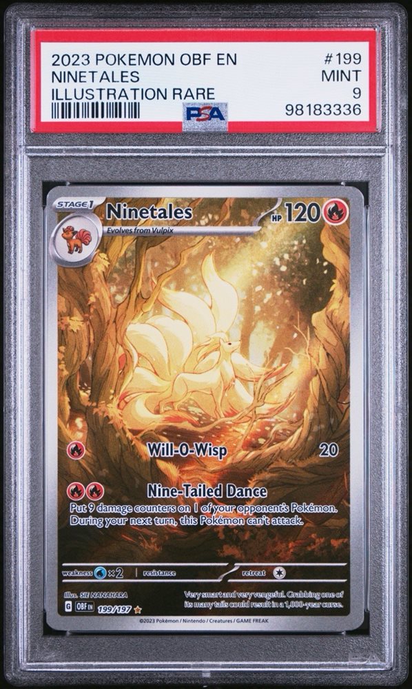 eljefecollectibles805