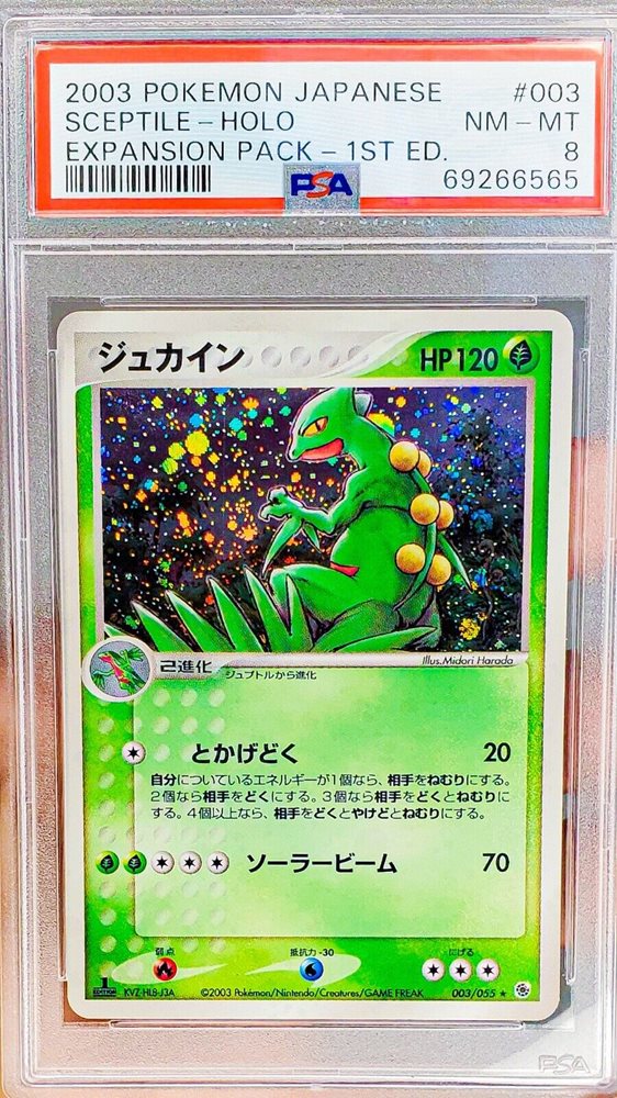 Auction Prices Realized Tcg Cards 2003 POKEMON JAPANESE