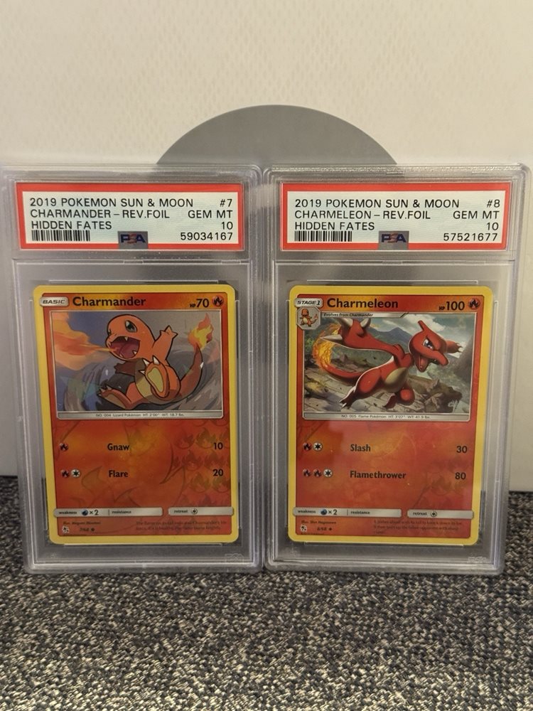 pokemon_twins