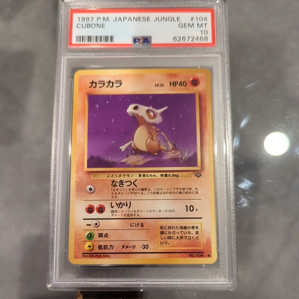 brooklynpokemon
